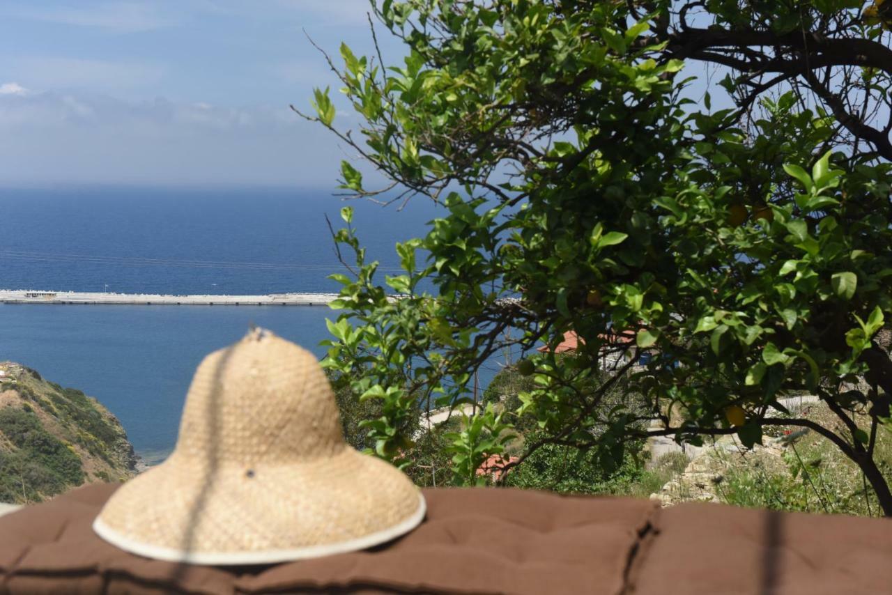 Mare Vista Villa Евдилос Екстериор снимка